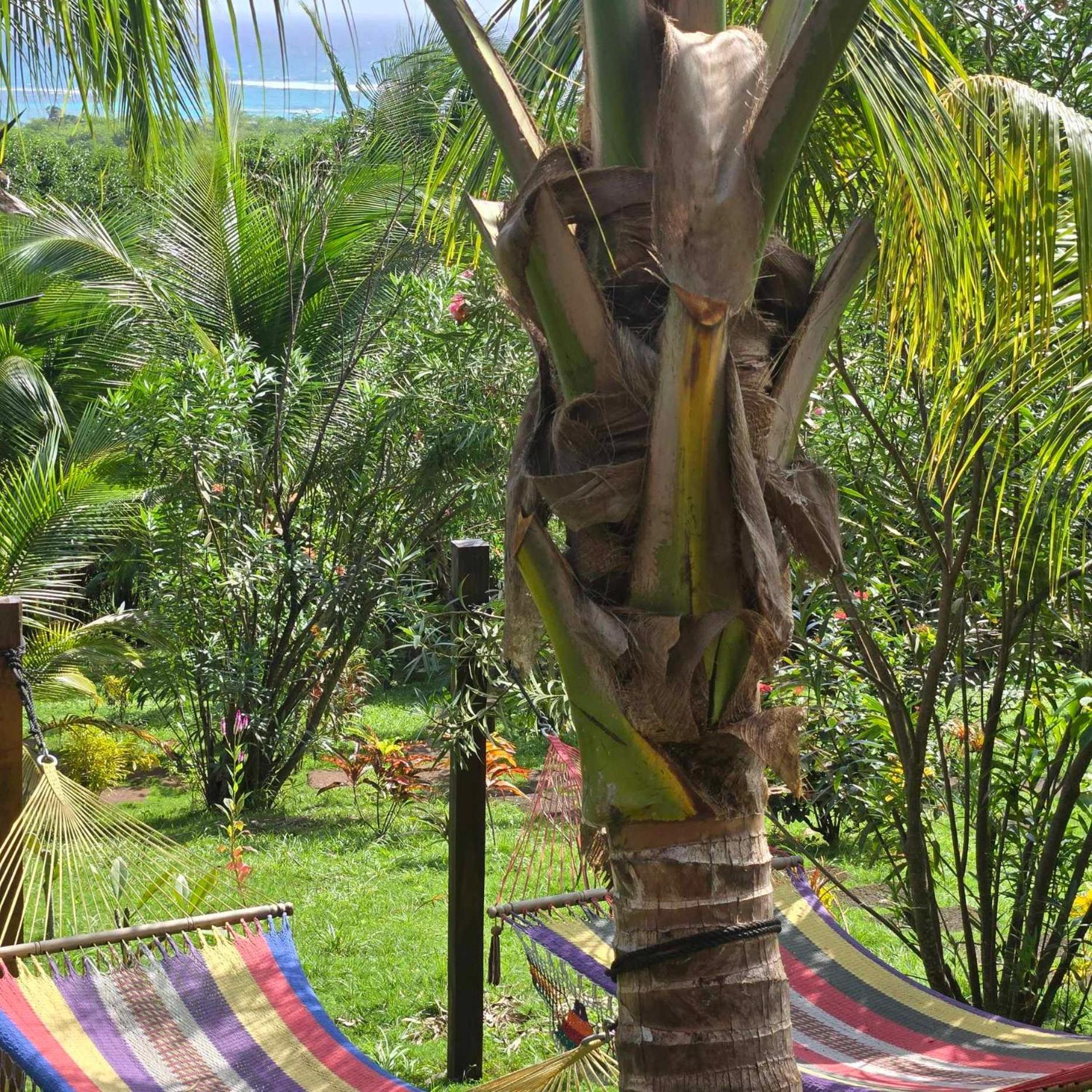 The Lighthouse Retreat, Little Corn Island, Nicaragua Hotel Kültér fotó